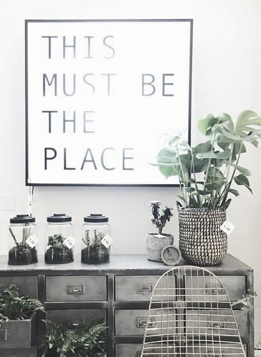 Monstera und Kakteen Inspiration Odyvet Nordic Butik Monstera und Kakteen Inspiration Odyvet Nordic Butik