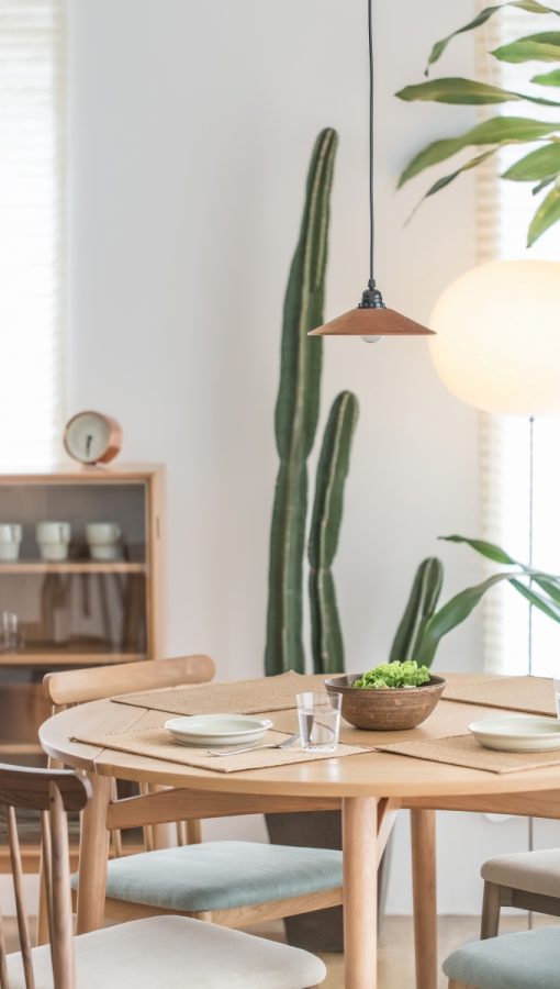 Pflanzen Kakteen skandinavische Wohndesign Nordic Butik Pflanzen Kakteen skandinavische Wohndesign Nordic Butik
