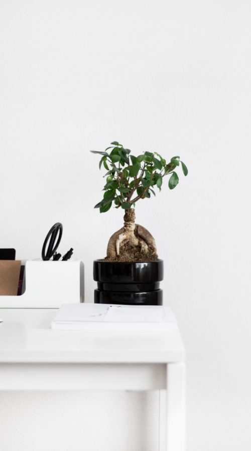 Wohnaccessoires Home-Office Nordic Butik Wohnaccessoires Home-Office Nordic Butik