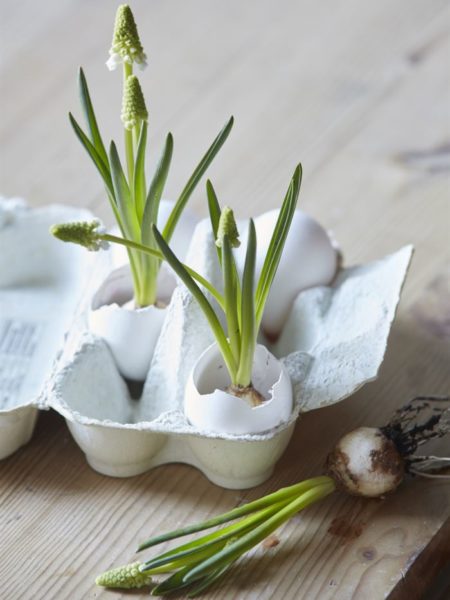 Osterdeko mit Blumen und Eier Osterdeko mit Blumen und Eier