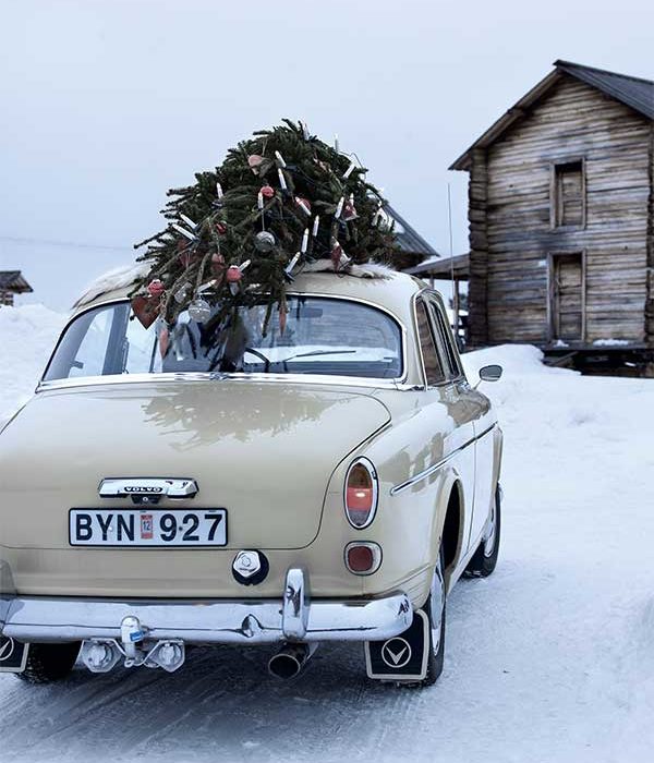 5 Tipps für die Weihnachtsbaumpflege Nordic Butik 5 Tipps für die Weihnachtsbaumpflege Nordic Butik