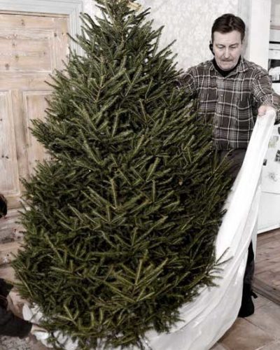 Weihnachtsbaum entsorgen Nordic Butik Leb wohl, Weihnachtsbaum! So wirst Du den Christbaum los
