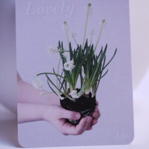 Postkarte LOVELY